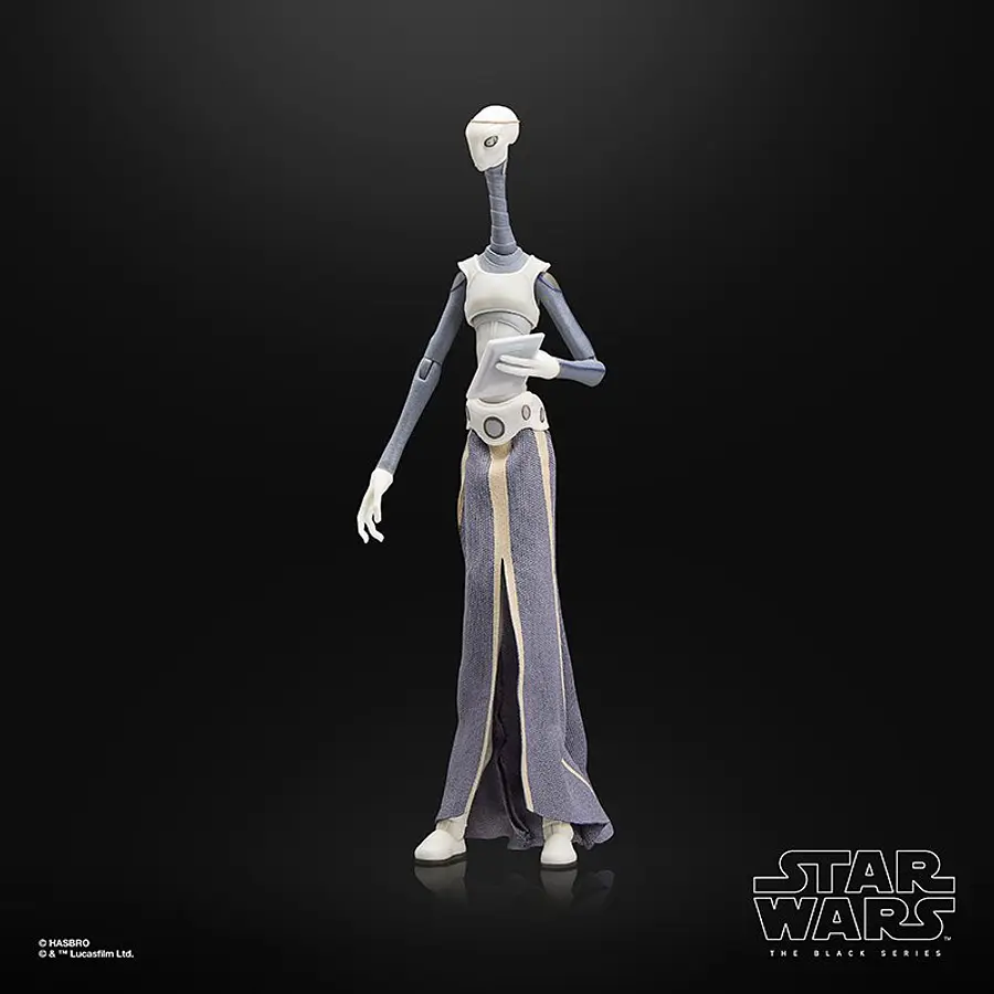 STAR WARS: THE BLACK SERIES TAUN WE 6