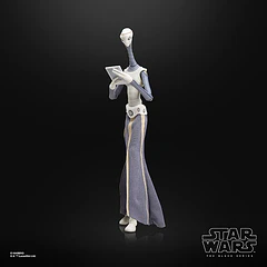 STAR WARS: THE BLACK SERIES TAUN WE 7