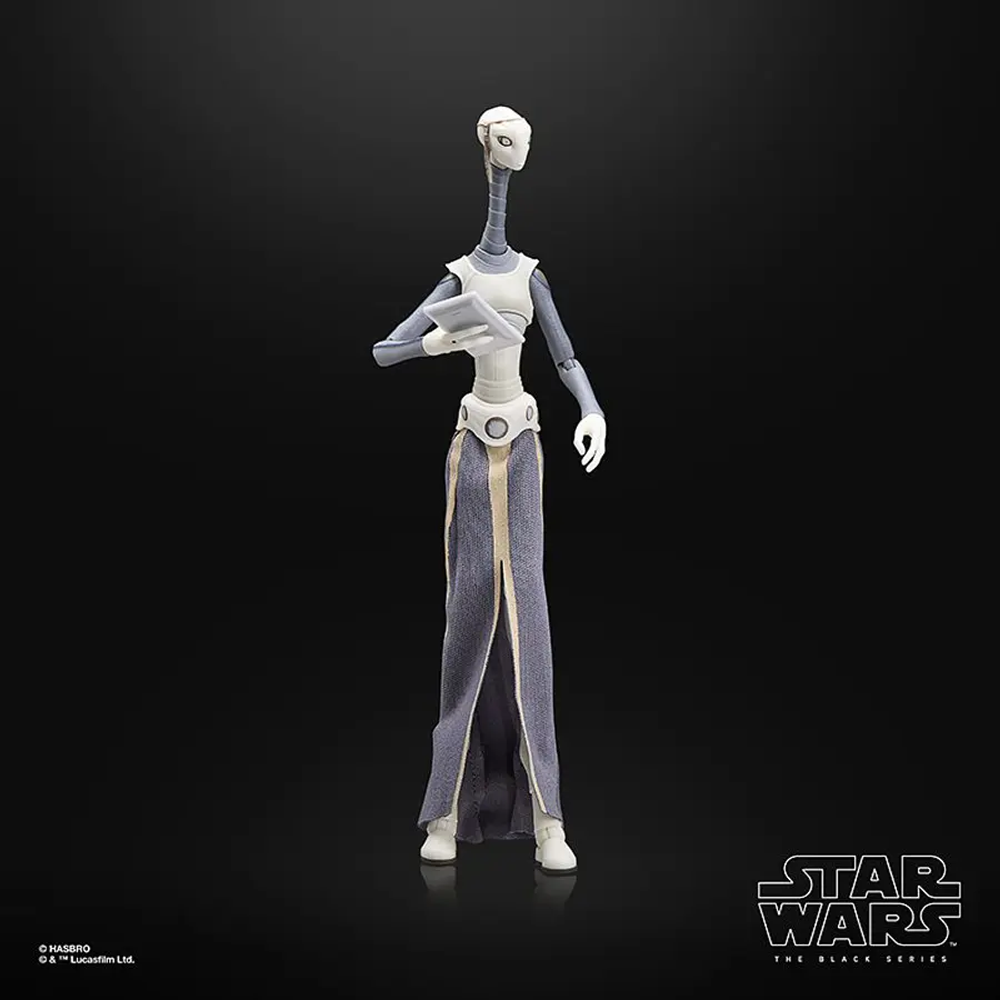 STAR WARS: THE BLACK SERIES TAUN WE 10