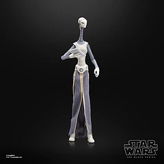 STAR WARS: THE BLACK SERIES TAUN WE 10