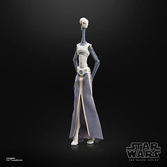STAR WARS: THE BLACK SERIES TAUN WE 11