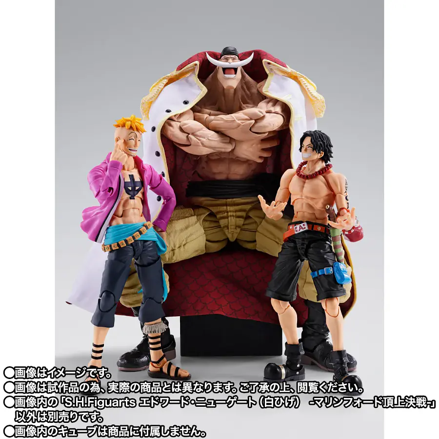 [Preventa Abierta] S.H.FIGUARTS: One Piece - Edward Newgate (Whitebeard) - Summit War of Marineford 7
