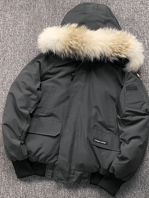 Casaco Canada Goose       