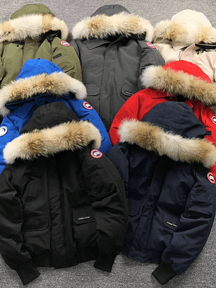 Casaco Canada Goose       