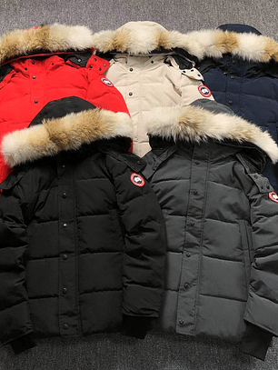 Casaco Canada Goose    