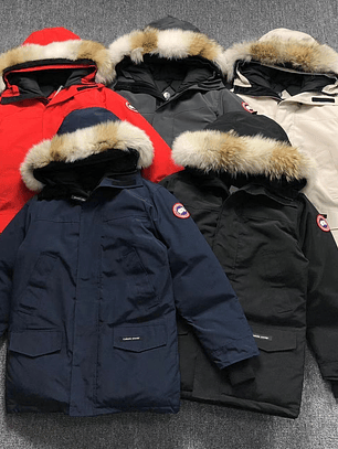 Casaco Canada Goose 