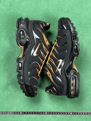 TN Black & University Gold