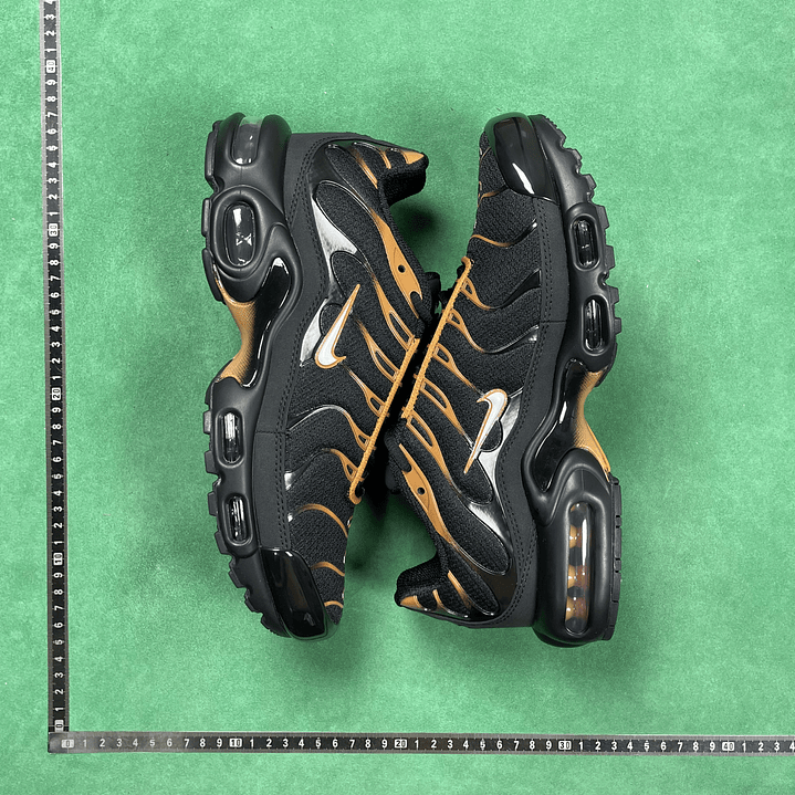 TN Black & University Gold 2