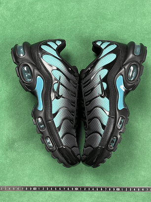 TN Black Dusty Cactus