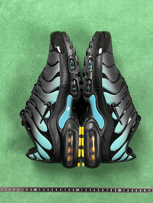 TN Black Dusty Cactus