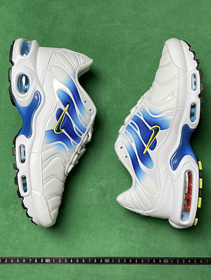 TN White University Blue Gold