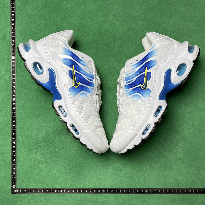 TN White University Blue Gold 5