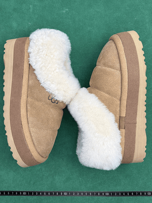 TT UGG Tazzlita 