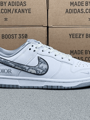 Dunk x Dior