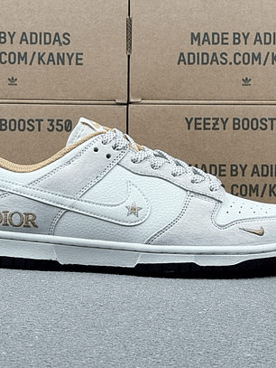 Dunk x Dior