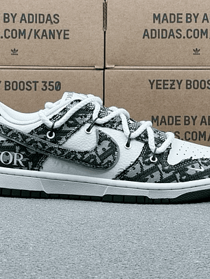Dunk x Dior