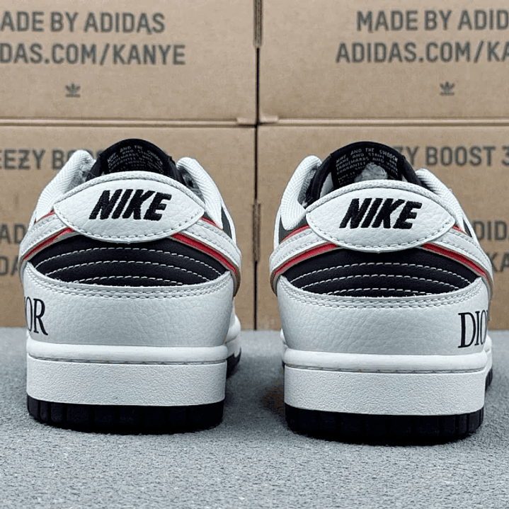 Dunk x Dior 5