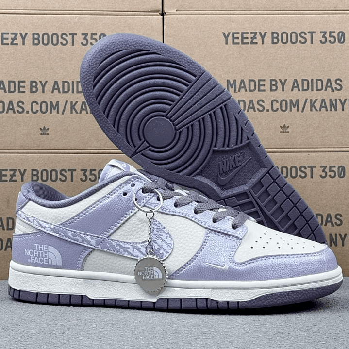 Dunk x The North Face 3