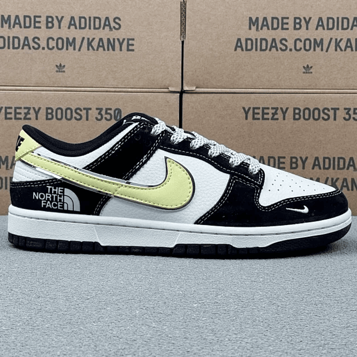 Dunk x The North Face 1