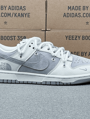 Dunk x The North Face