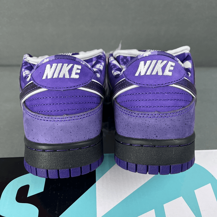 Dunk SB Purple Lobster 3