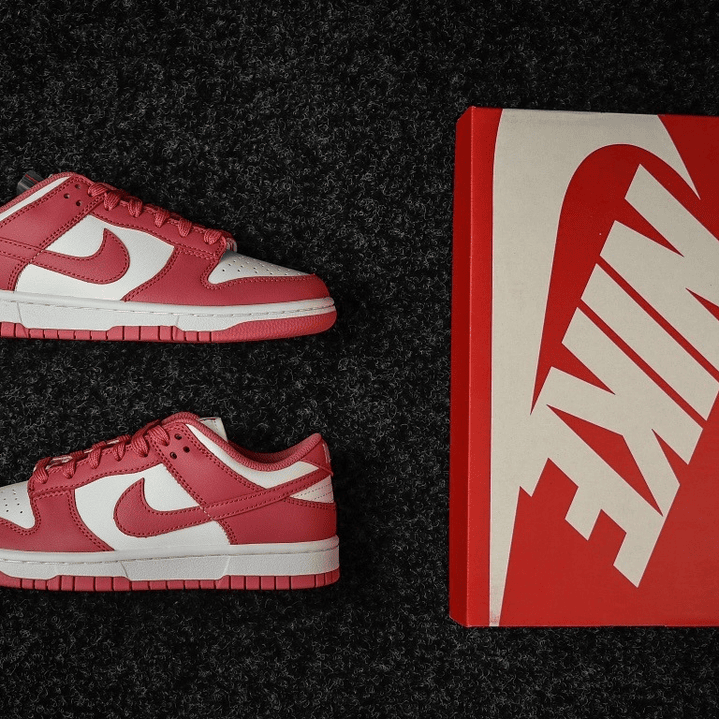 Dunk SP Archeo Pink 4