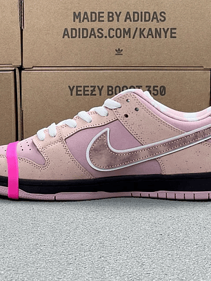 Dunk SB Pink Lobster