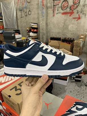 Dunk SP Valerian Blue