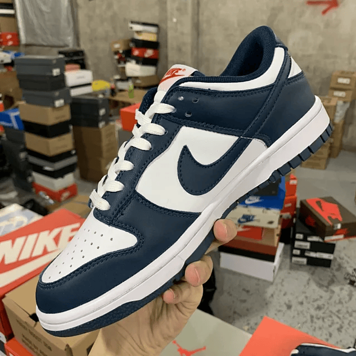 Dunk SP Valerian Blue 3