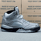 AJ 5 Wings - Thumbnail 1