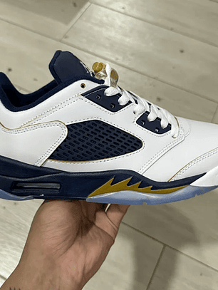 AJ 5  Low Dunk From Above