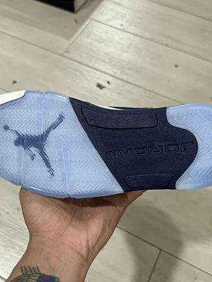 AJ 5  Low Dunk From Above