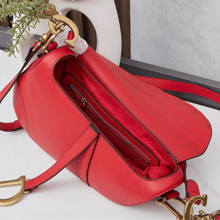 Saddle da Christian Dior 3