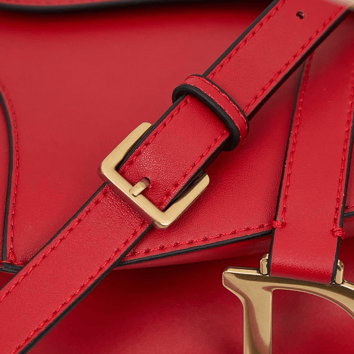 Saddle da Christian Dior 6