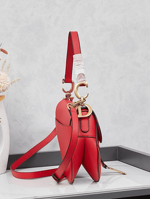 Saddle da Christian Dior