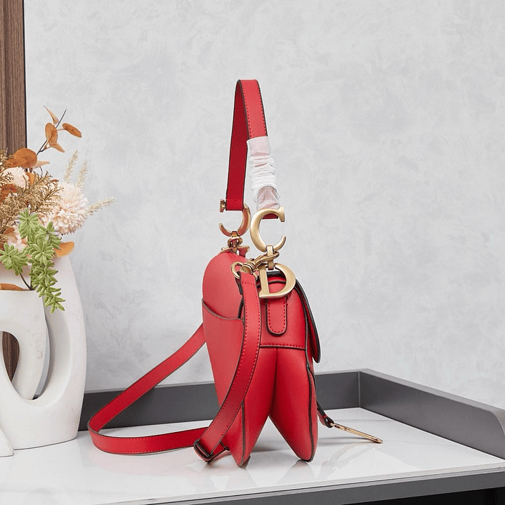 Saddle da Christian Dior 2