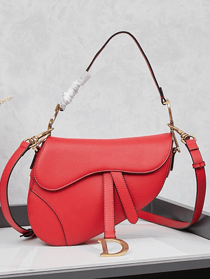 Saddle da Christian Dior
