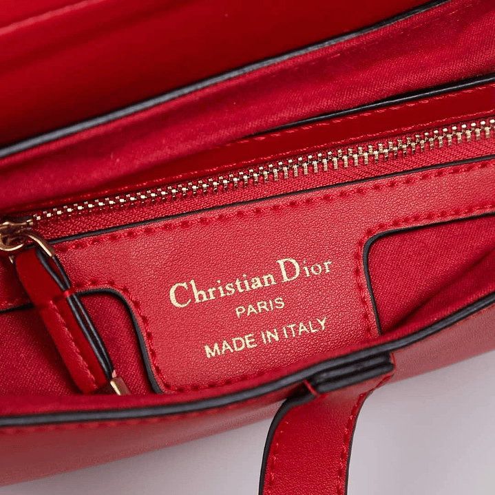 Saddle da Christian Dior 7