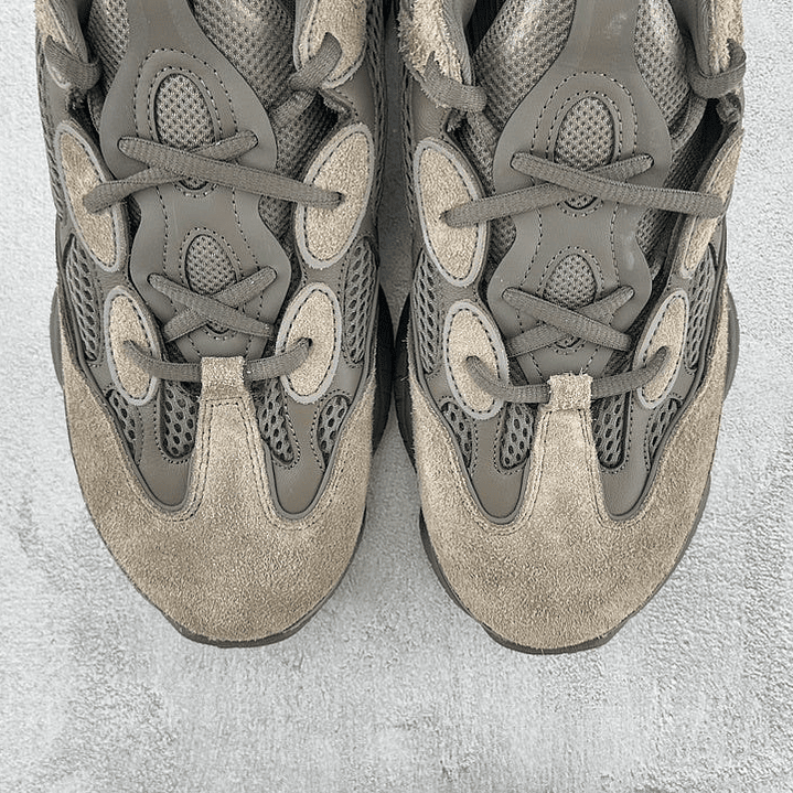 500 Mountain Wild Palm 3