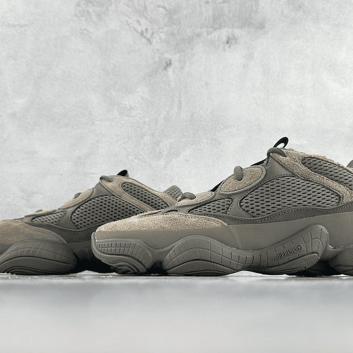 500 Mountain Wild Palm 6