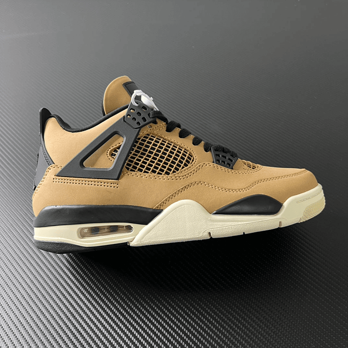 AJ4 Mushroom 1