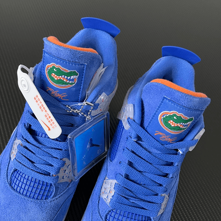 AJ4 Retro Florida Gators 3