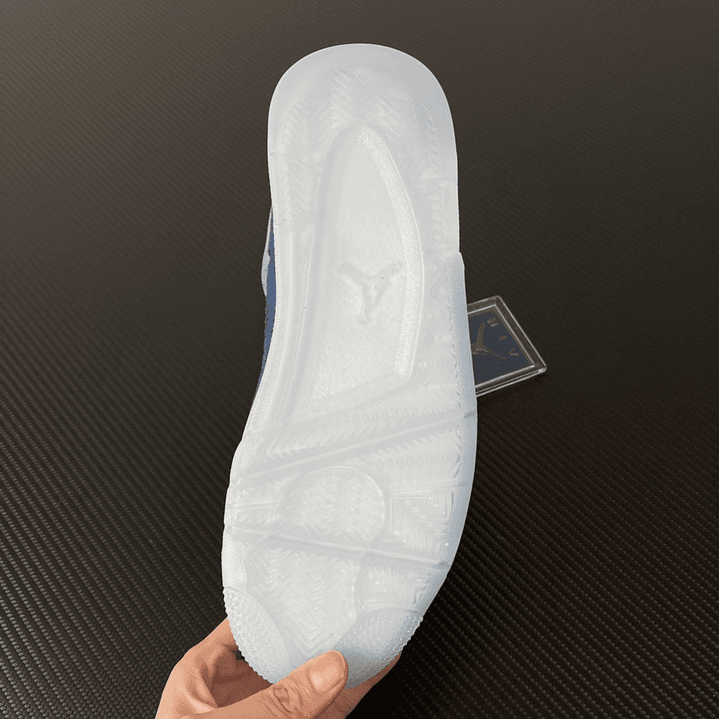 AJ4 Michigan Wolverines PE 5