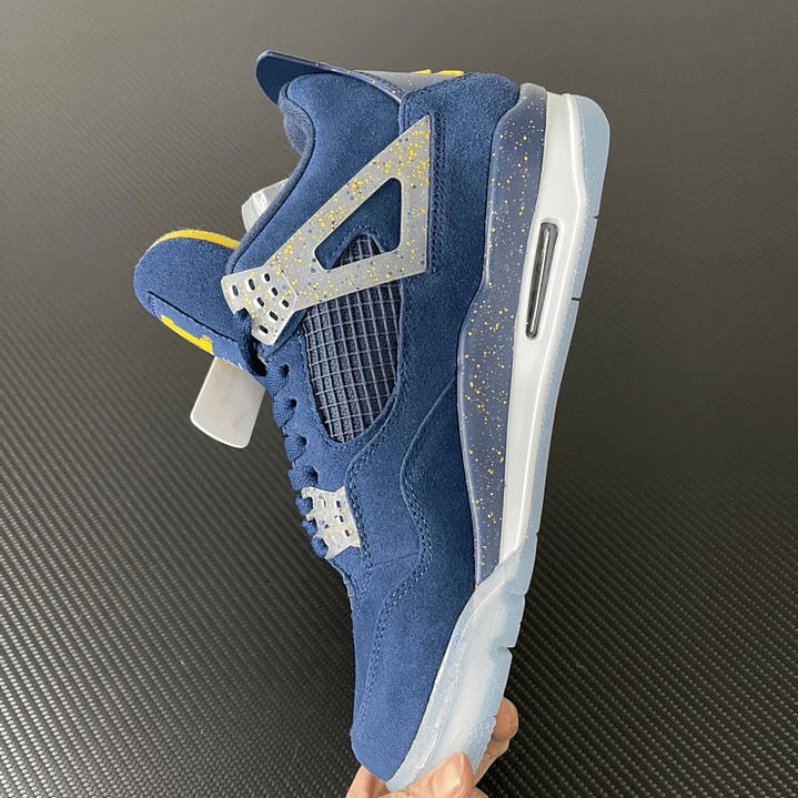 AJ4 Michigan Wolverines PE 7