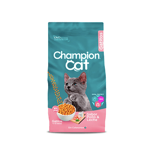 Champion Cat Gatitos 20 kg | Alimento para Gatitos