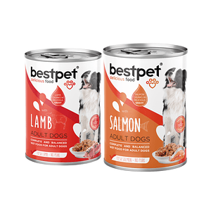 BestPet Lata Perro | Alimento Húmedo para Perros