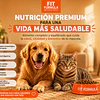 ¿Por qué elegir Fit Formula para alimentar a tu perro o gato? Guía para una nutrición completa y equilibrada