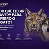 🐶🐱 Bravery: ¿qué hace diferente a este alimento para perros y gatos?