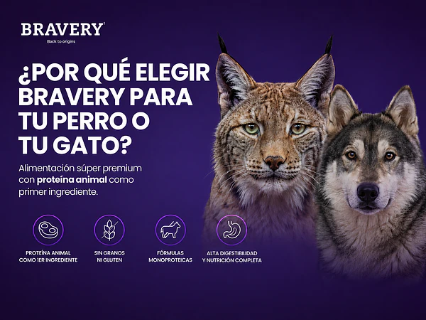 🐶🐱 Bravery: ¿qué hace diferente a este alimento para perros y gatos?