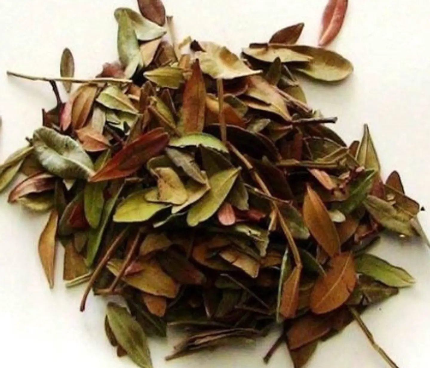 Aroeira - 10 Gr  1
